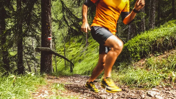 5ème édition du Cheylarois Trail