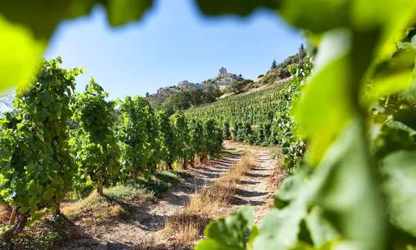 Salon des Vins et de la Gastronomie