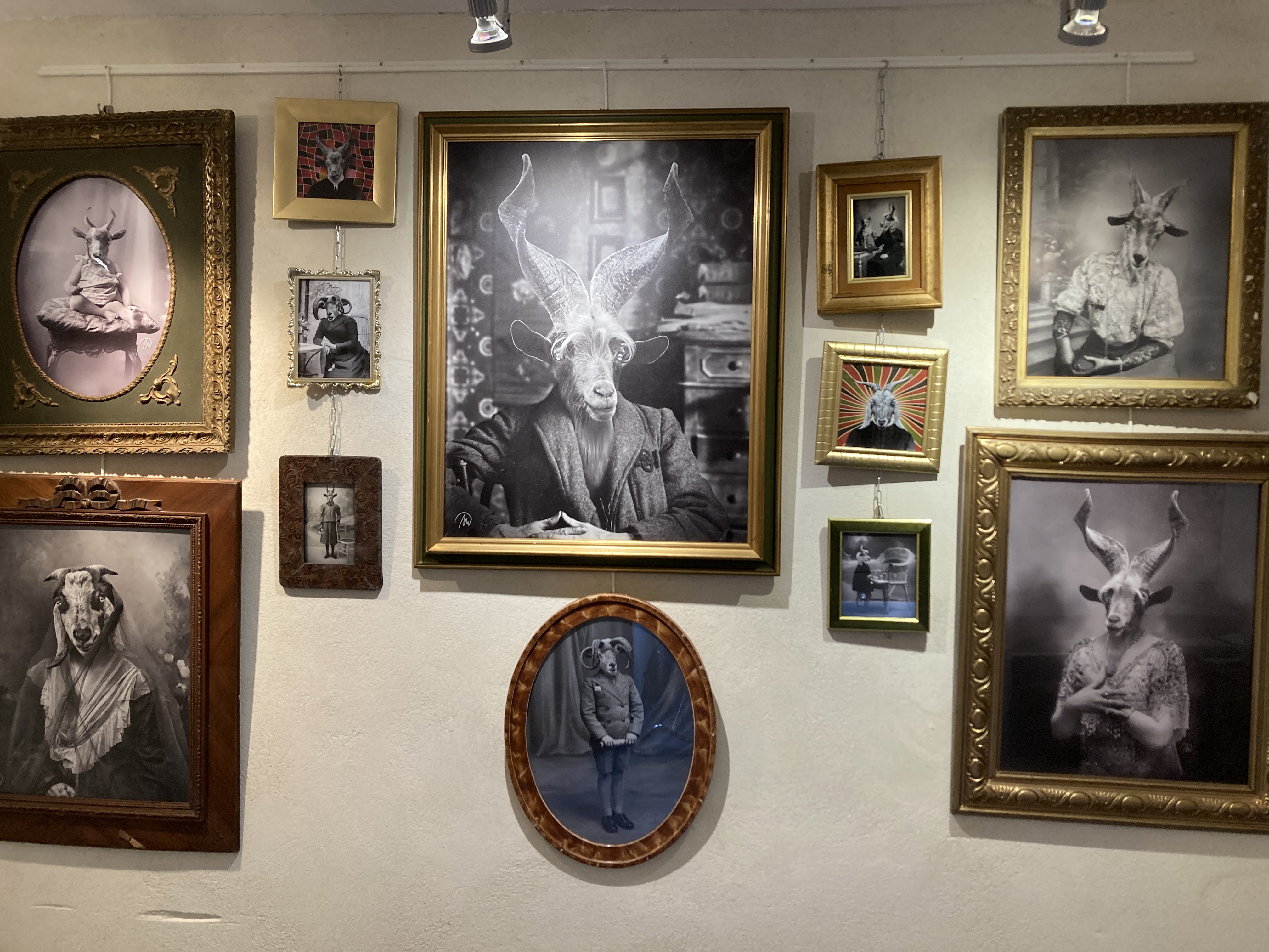 Exposition Photo - Marc Defortescu