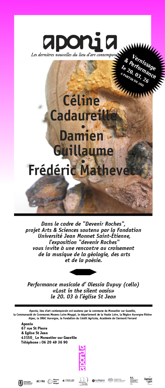 Exposition contemporaine - Devenir "roches"