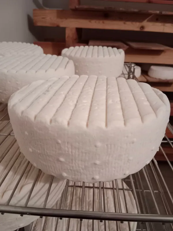 Média additionnel 1