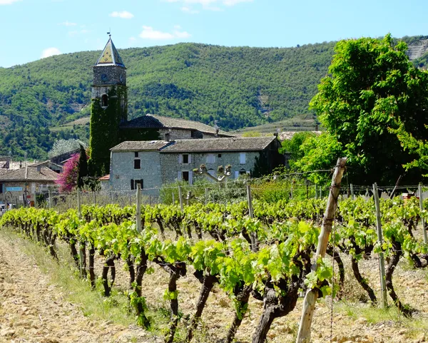 Marché de producteurs locaux