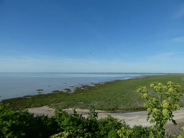 Animation - La baie au fil des saisons - Septembre