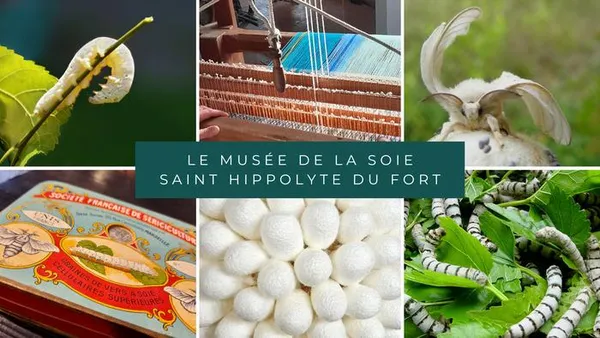 Visites du Musée de la Soie