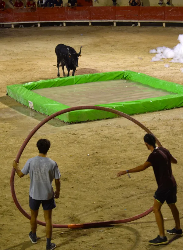 Toro mousse piscine
