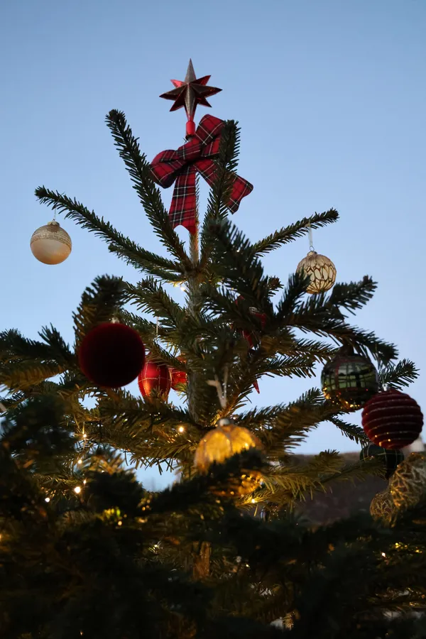 Les contes d'hiver