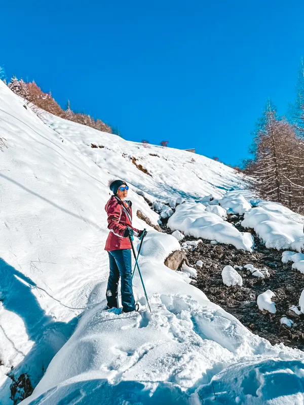 Randonnée raquette : Animaux de montagne