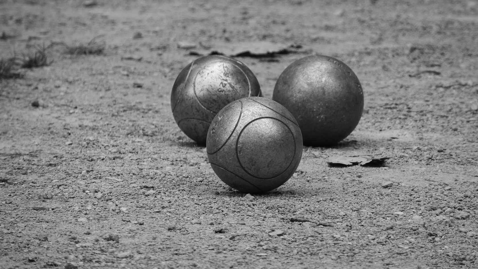 Concours officiel de pétanque