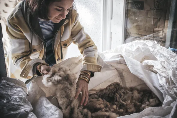 Atelier visite et découverte de la Laine
