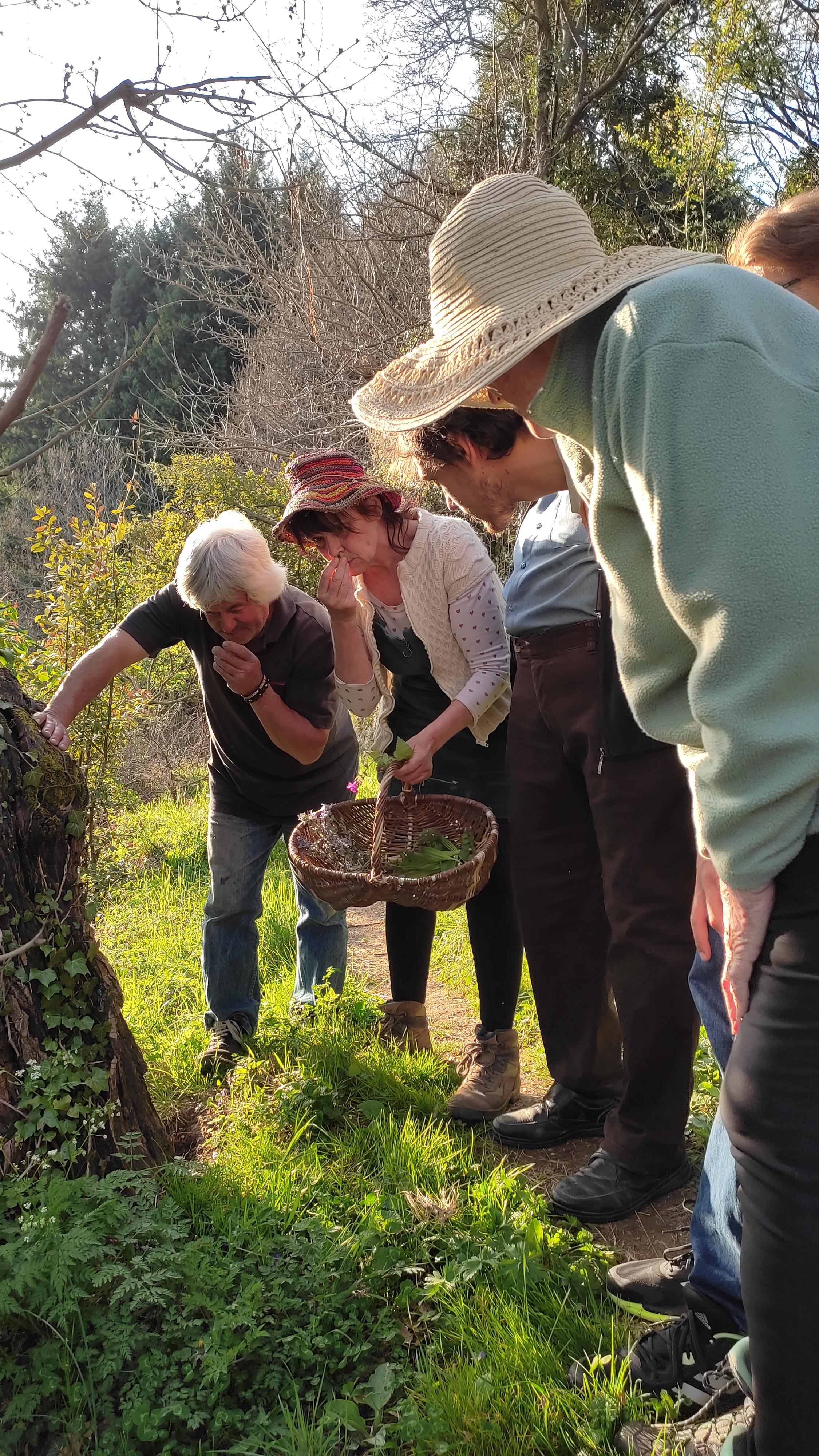 Journée Ardèche Nature : Balade Nature "Dans la peau de l'herboriste"