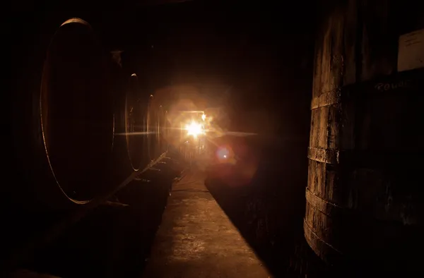 Visite et dégustation dans le noir - Domaine du chêne