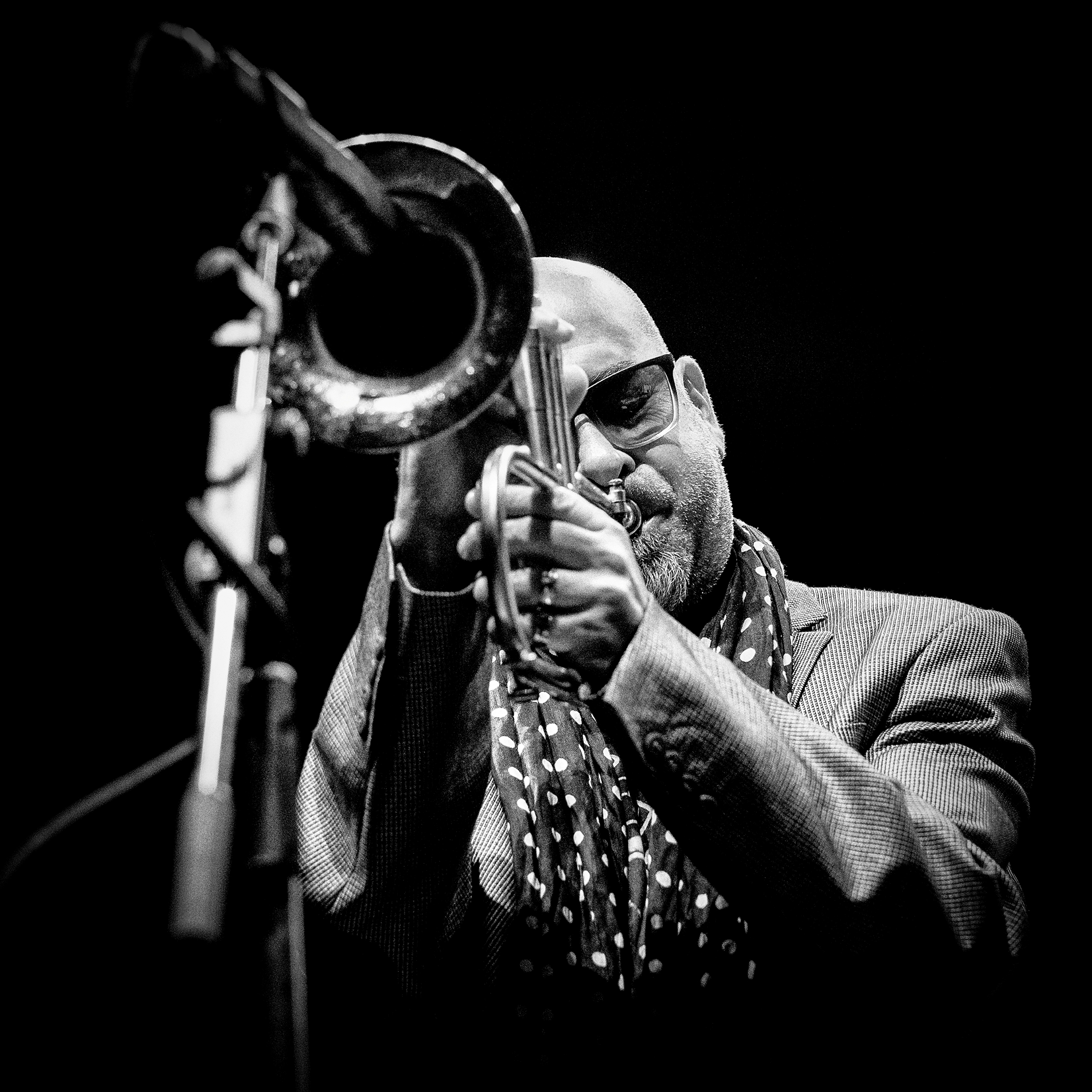 concert : "Stéphane Belmondo Trio" "Love for Chet"