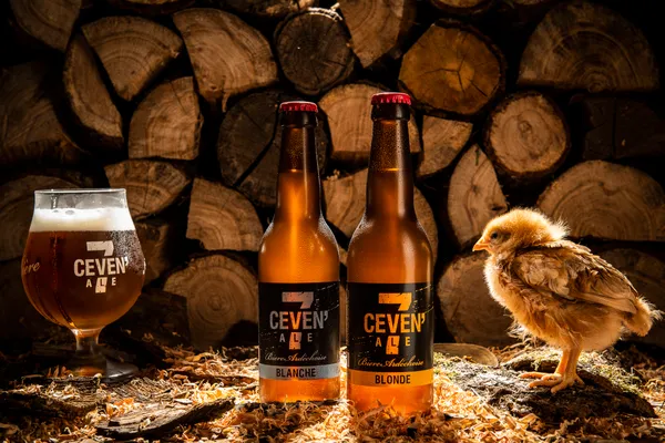 Visite et dégustation de la brasserie CEVEN'ALE