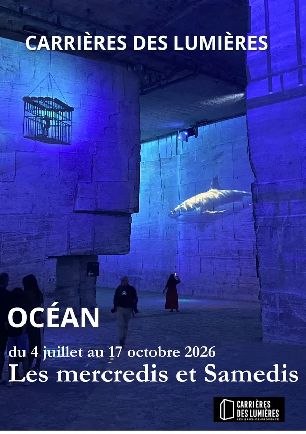 Carrières-des-Lumières : Océan, immersion dans le monde sous-marin