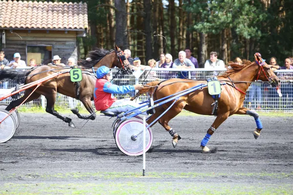 Courses hippiques - Hippodrome de Jullianges