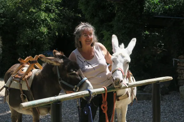 Comme un avant-goût de vacances au pas de l'âne