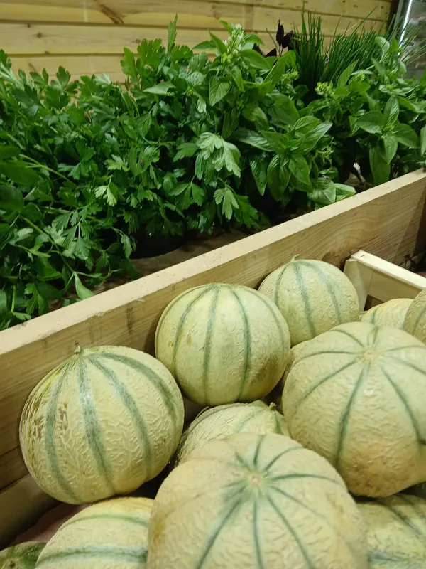 Animation au Logis - Les Légumes du logis
