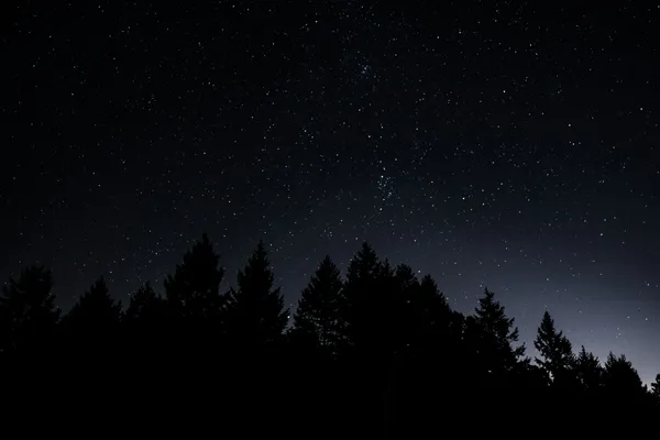 Le jour de la nuit