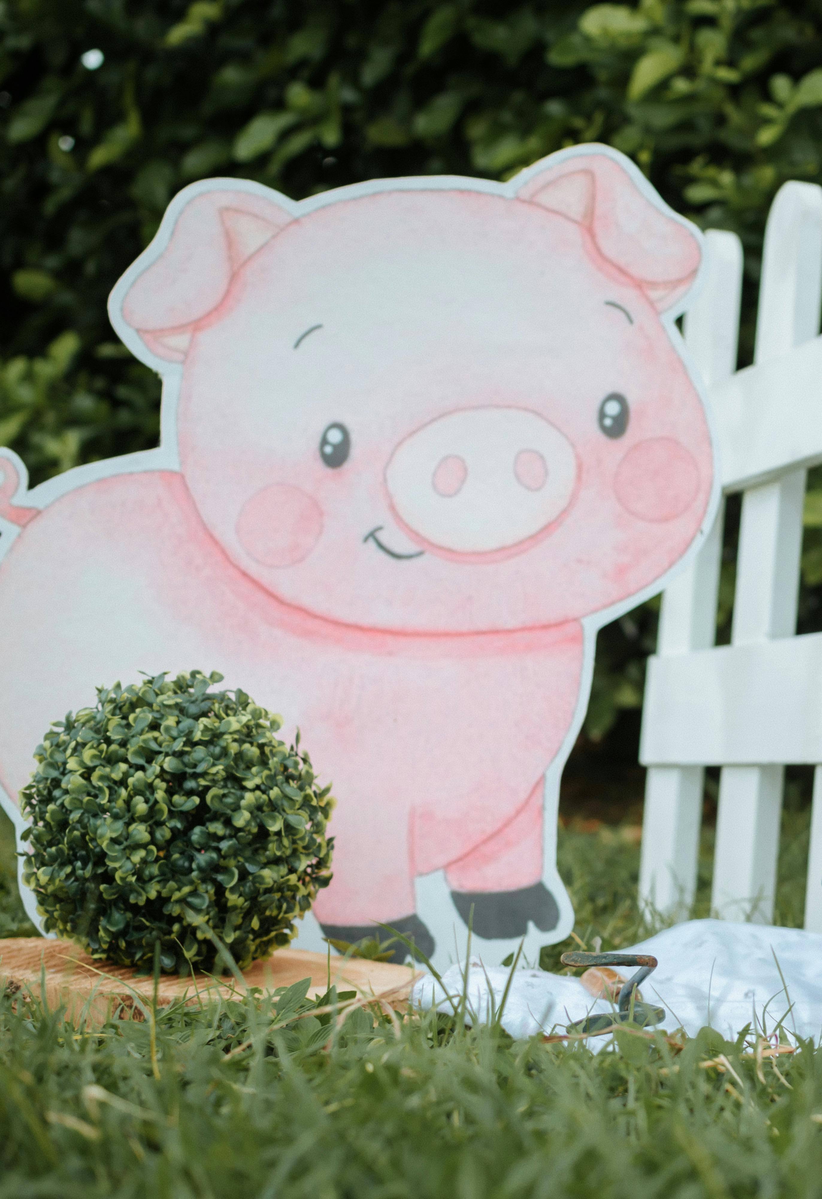 Soirée cochon grillé