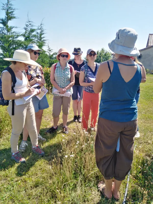 Balade botanique et atelier avec La magie des plantes