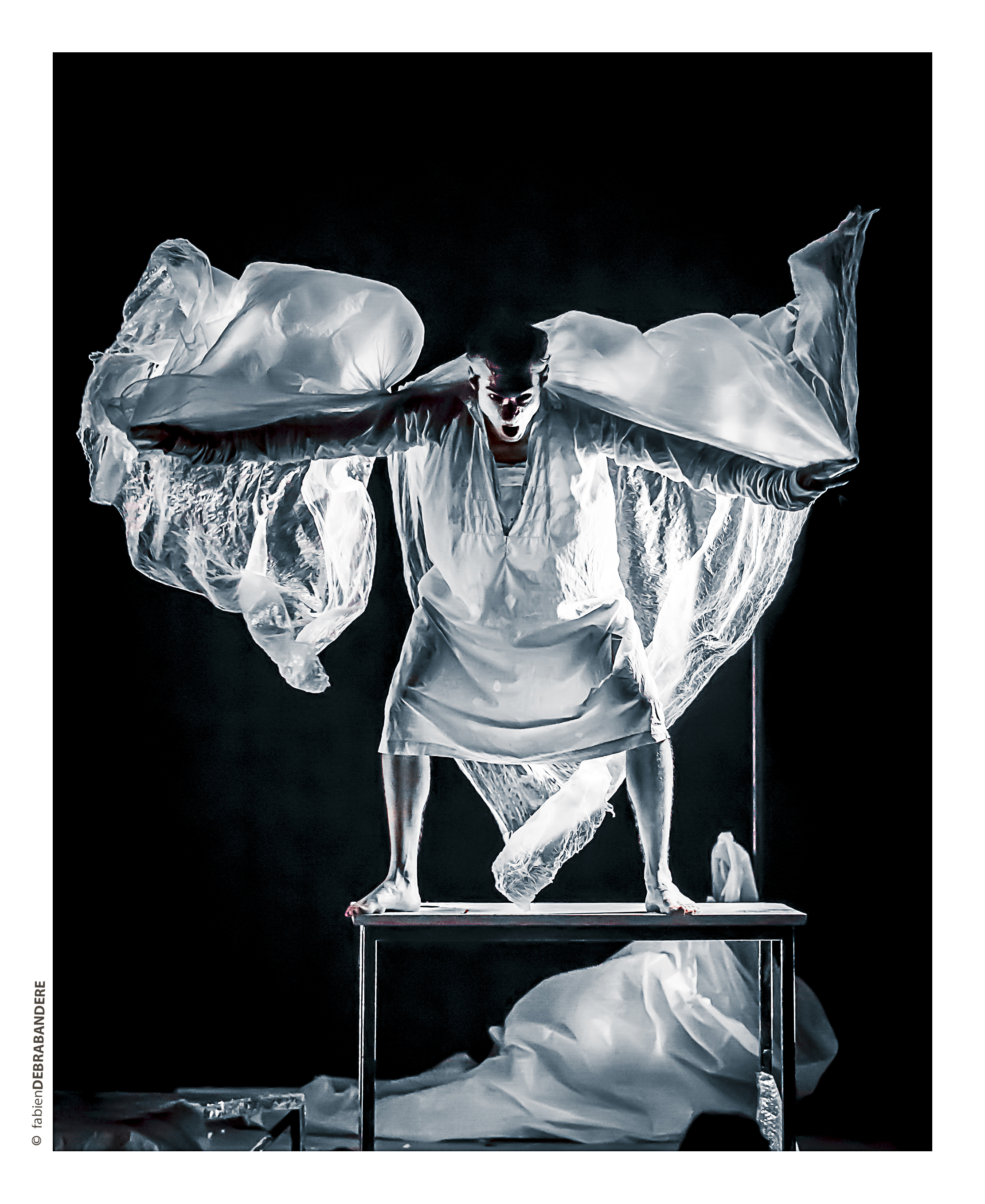 Le Delirium du Papillon / Typhus Bronx