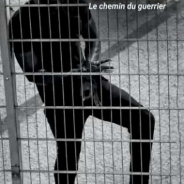 RENCONTRE AVEC JULIEN COCOA