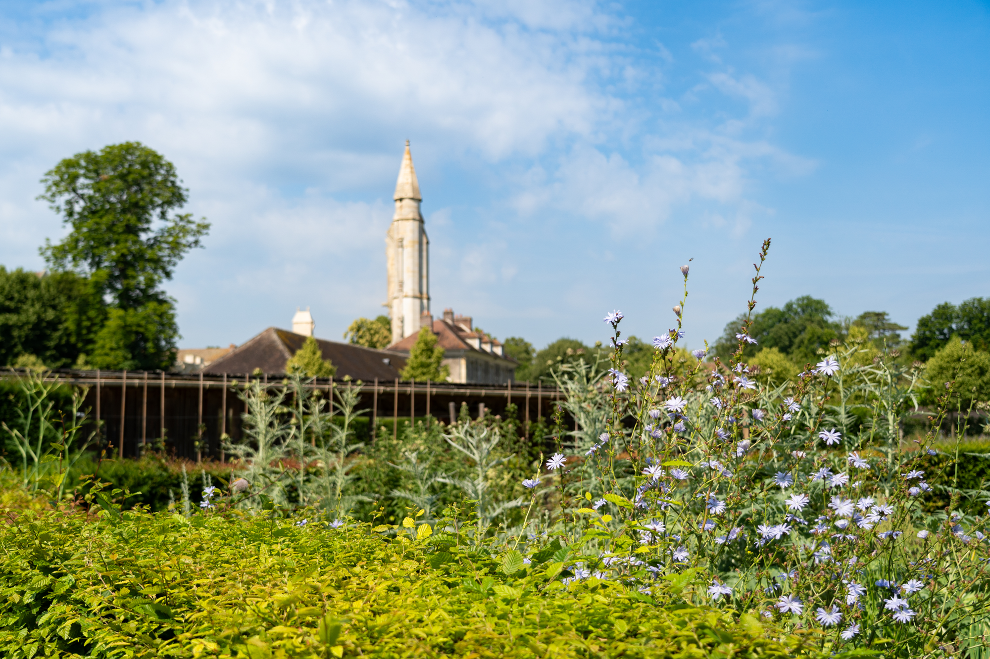 Balade aux jardins