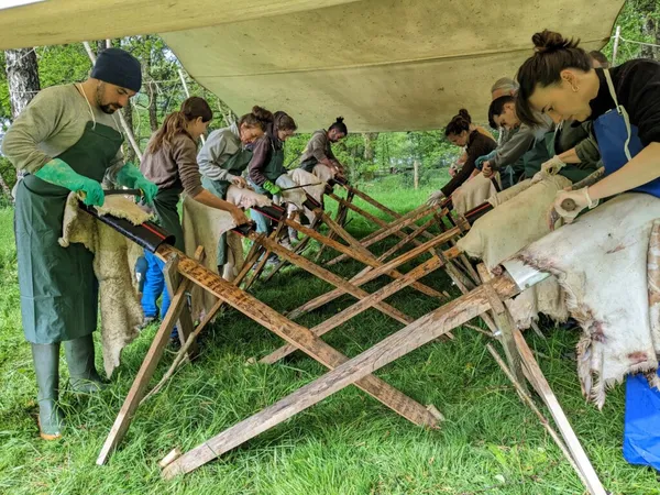 Stage "Tannage végétal : la fourrure" (2 jours)