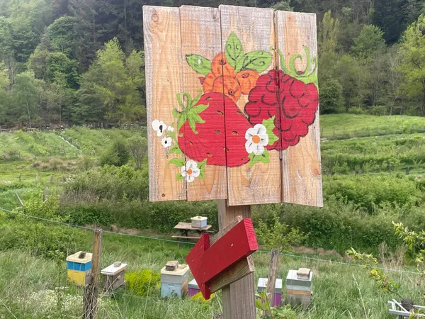 Cueillette à la ferme