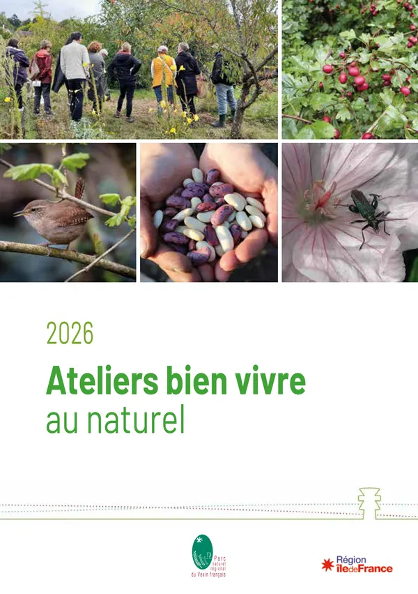 Transformation et conservation de nos pommes locales
