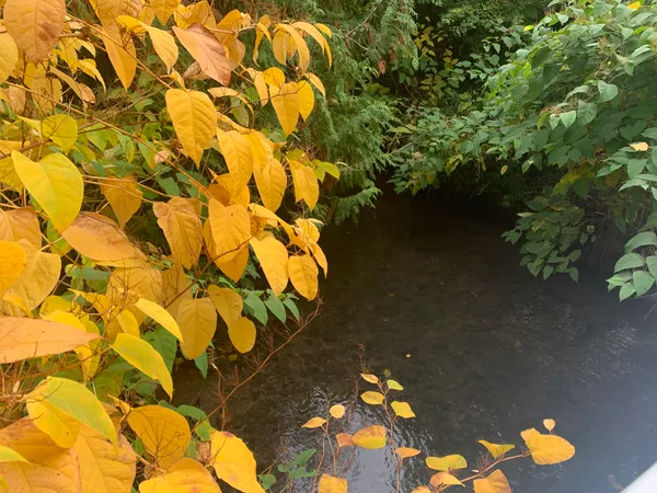 Excursion de rivière en villages