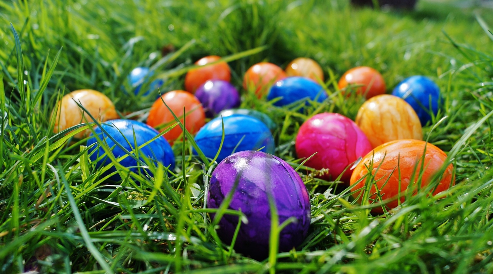 Chasse aux œufs de Pâques