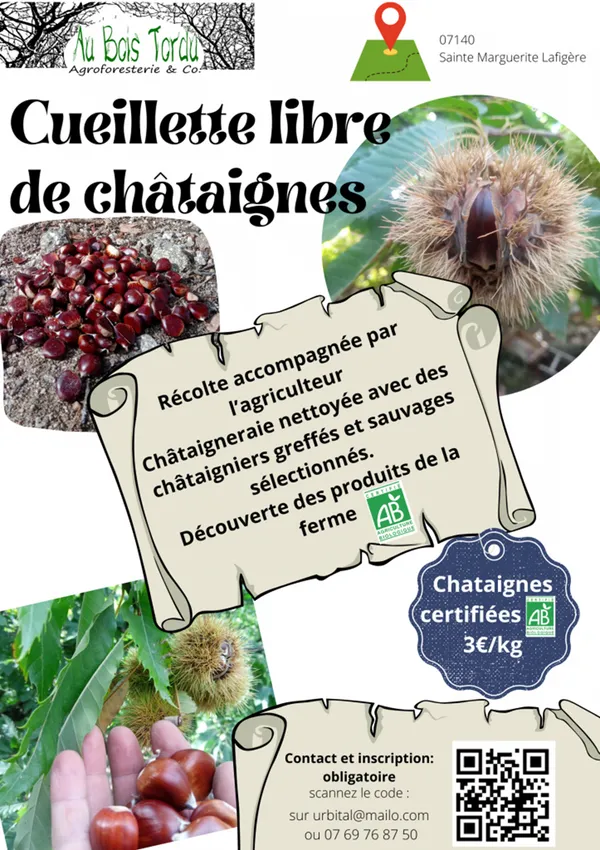 Média additionnel 1