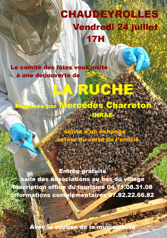 Découverte de la ruche