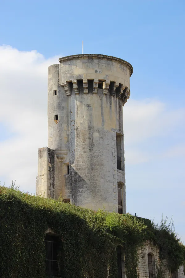 Visite libre des vestiges du château