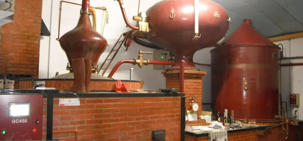 Visite du vignoble, chais et distillerie Boule