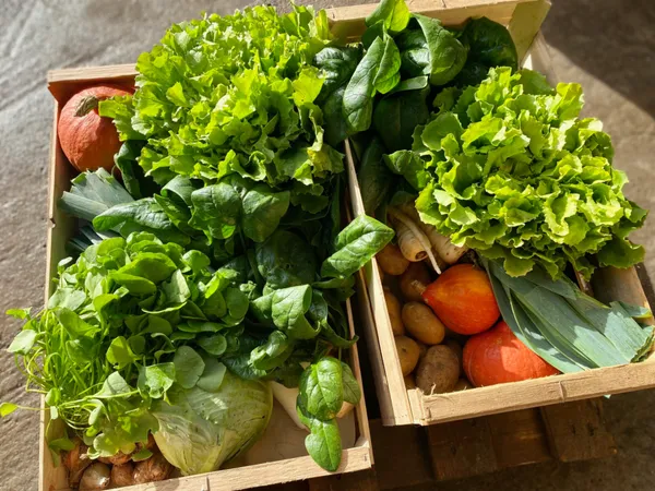Marché de l'Accueillette du Mignon