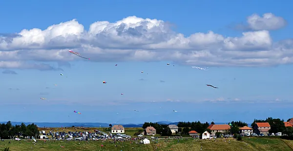 Festival du Cerf-Volant