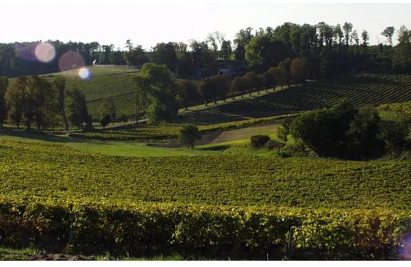 Visite du domaine Tesseron Cognac