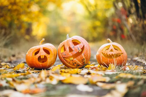 Animations Halloween
