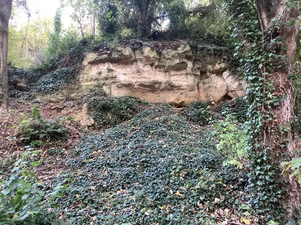 Balade géologique à Chars : en longeant la Viosne