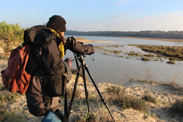 Sortie comptage : Marais des Bris
