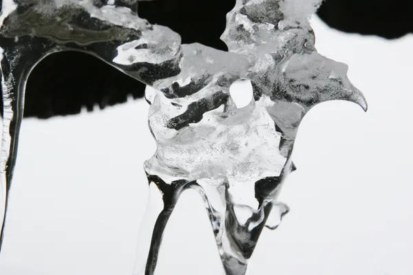 Exposition "De Glace" de Jacques Richard