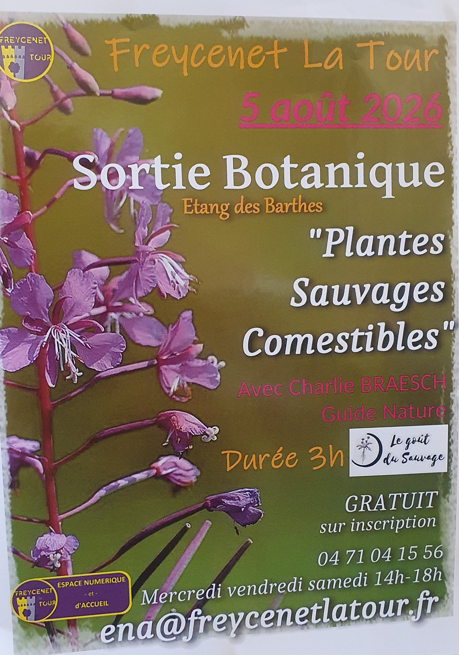 Balade botanique "Plantes comestibles" avec Charlie Braesch