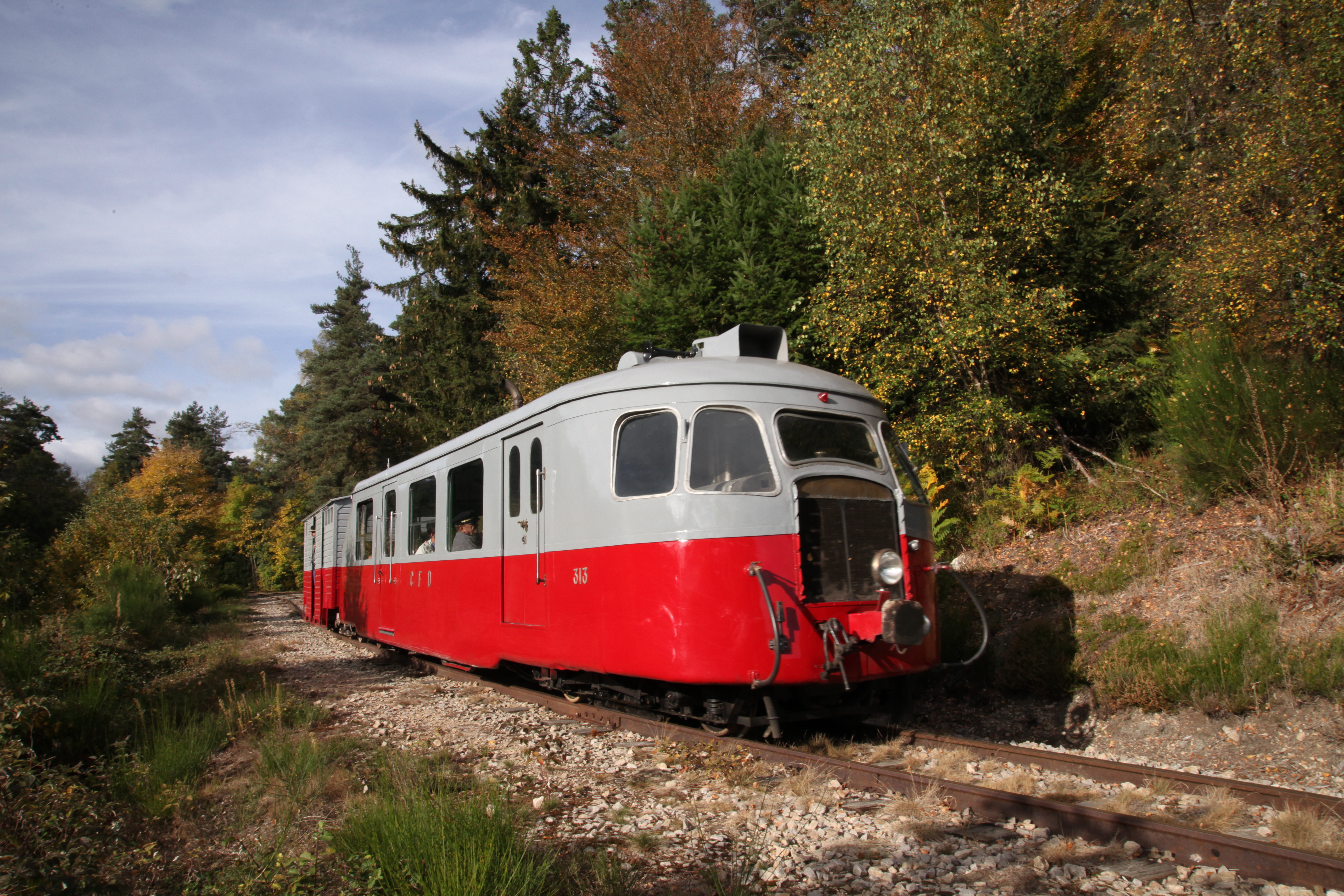 COMPLET ! Le Train des Champignons – Une escapade au cœur de la forêt ! - L'Automnal gourmand