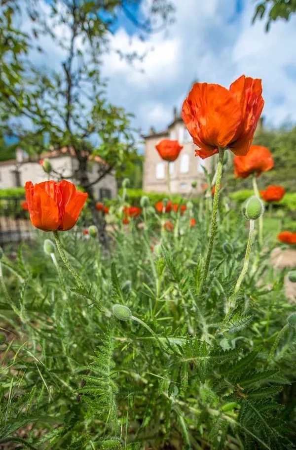 Journée Européennes du Patrimoine: visite du Parc et Jardins du château de Figeon