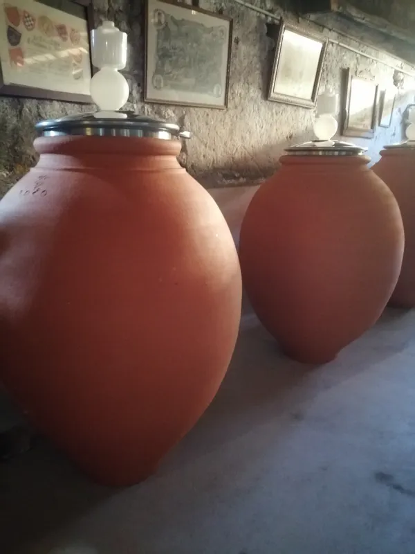 Visite et Dégustation - Domaine Abel Lorton