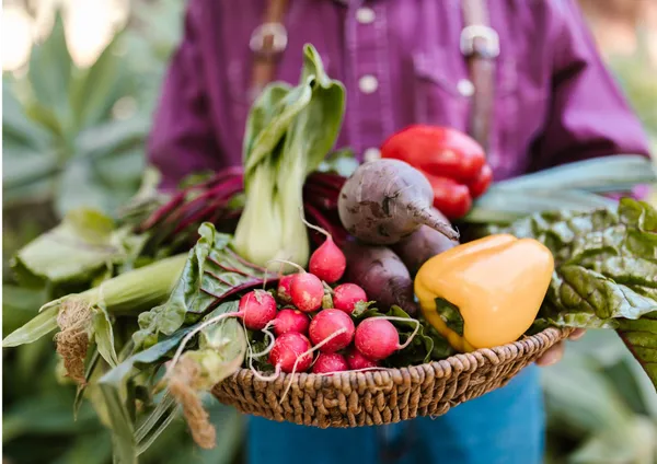 Marché estival
