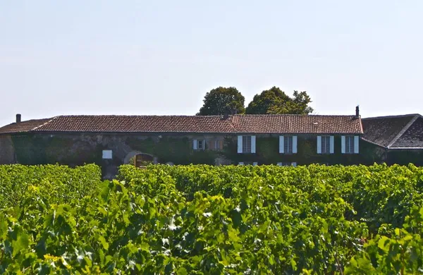 Visite Domaine de la Grolette - Maison Cognac Ordonneau