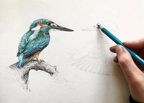 Cours de dessin et pastel